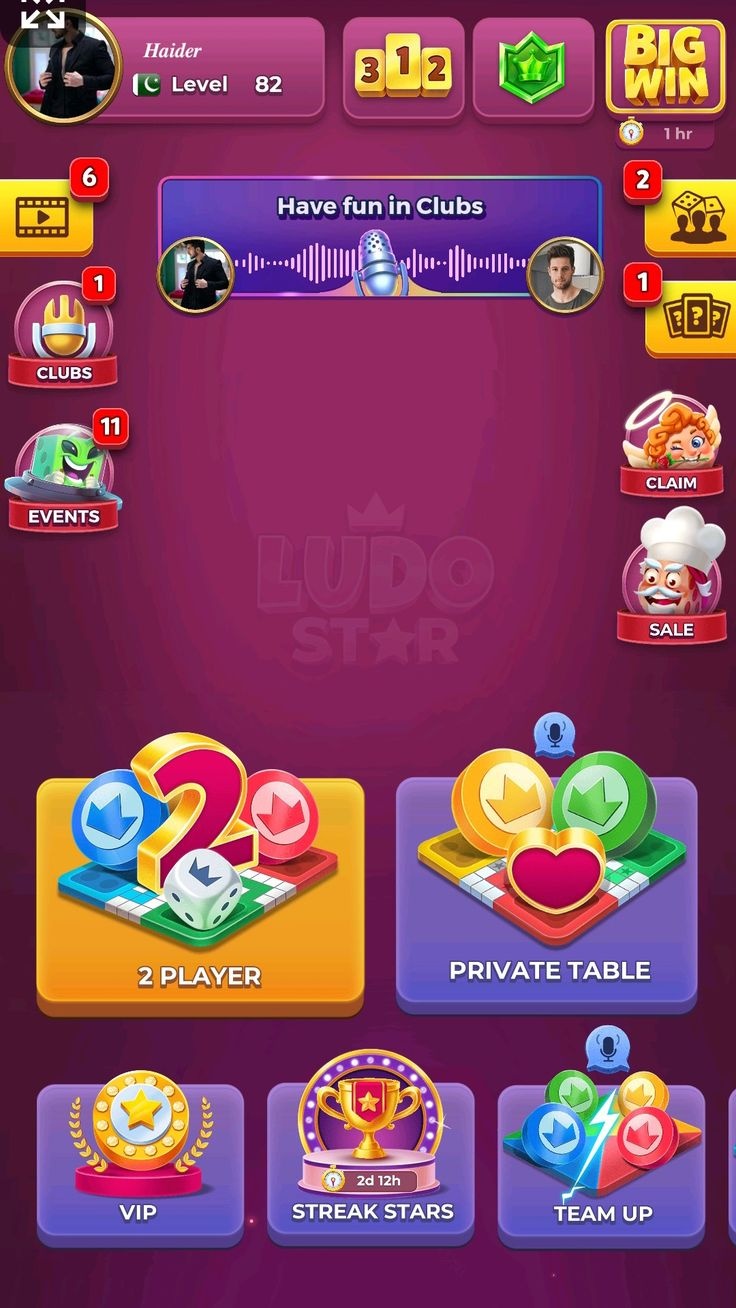 SlotsNinja game